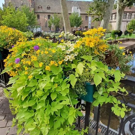 Apartament Evasion St Joseph Odysalis - Lit King Size - Parking - Proche Centre