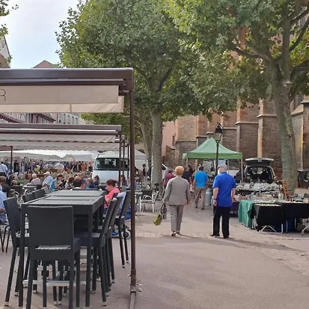 La Petite Venise 3pièces Lit King Size Free Parking * Colmar