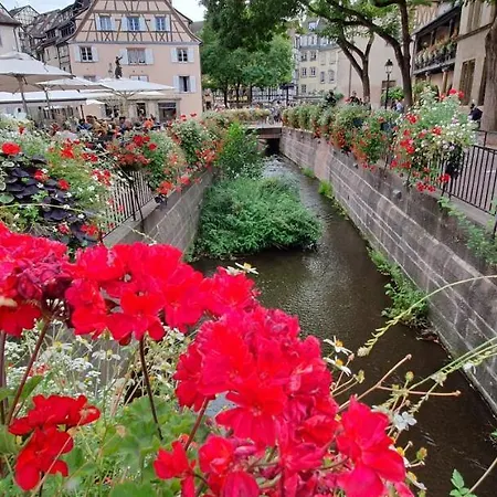 Evasion St Joseph Odysalis - Lit King Size - Parking - Proche Centre Apartament Colmar