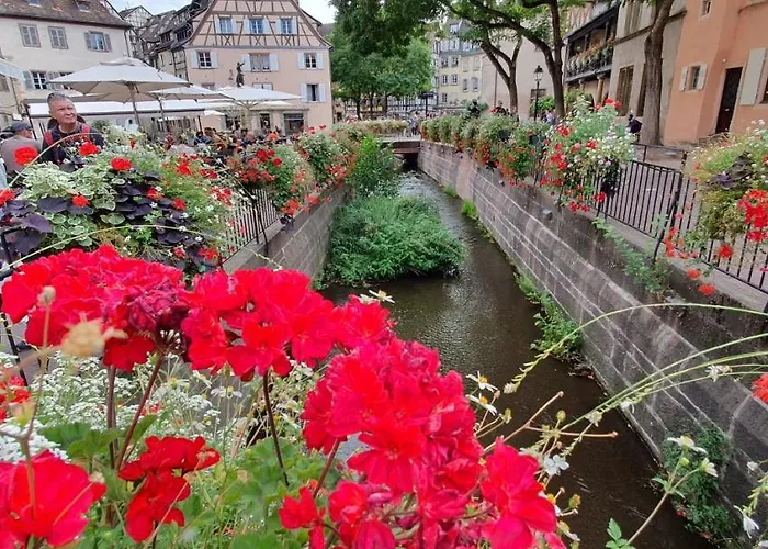 Evasion St Joseph Odysalis - Lit King Size - Parking - Proche Centre Appartamento Colmar